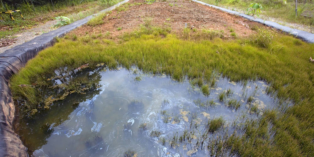 The Tragedy of Hazmat Soil Contamination The Tragedy of Hazmat Soil Contamination | Harbor Environmental Group